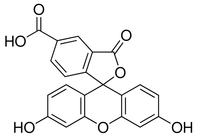 5-羧基荧光素，胺反应性荧光标记 - 阿拉丁