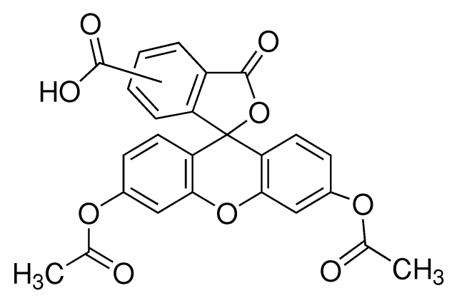 5(6)-羧基荧光素二乙酸酯，具有细胞渗透性，可与胺反应的绿色荧光团 - 阿拉丁