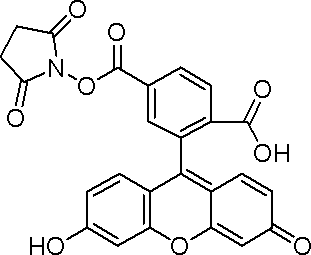 6-羧基荧光素琥珀酰亚胺酯，常用的荧光试剂，用于标记肽，蛋白质和核苷酸 - 阿拉丁