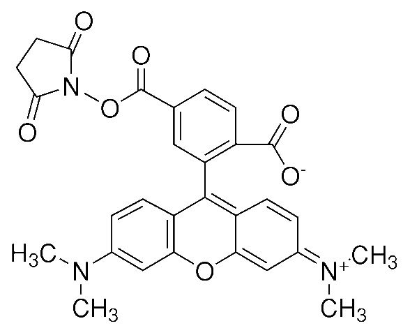 6-羧基四甲基罗丹明琥珀酰亚胺酯，用于肽，蛋白质，核苷酸和核酸结合的荧光团 - 阿拉丁