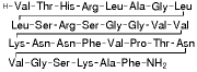Calcitonin Gene Related Peptide Fragment 8-37 human，选择性竞争性CGRP受体拮抗剂神经肽 - 阿拉丁
