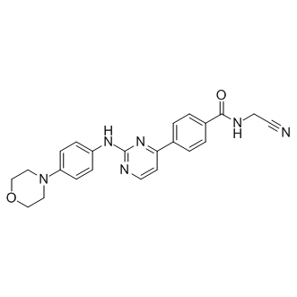 CYT387，强大的ATP竞争性JAK 1/2选择性抑制剂 - 阿拉丁