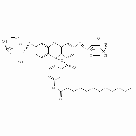 C12FDG&nbsp;[5-十二烷酰基氨基荧光素二-β-D-吡喃半乳糖苷]，亲脂性β-半乳糖苷酶底物 - 阿拉丁