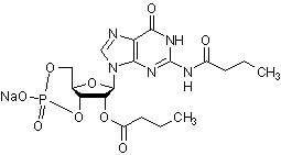 二丁酰-cGMP，细胞渗透性cGMP类似物 - 阿拉丁