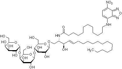 N-十二烷酰基-NBD-神经酰胺三己糖苷，荧光C12：0-神经酰胺三己糖类似物 - 阿拉丁