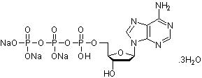 2'-脱氧腺苷5'-三磷酸[dATP]三钠三水合物，核苷三磷酸 - 阿拉丁