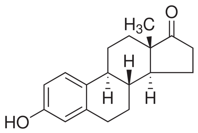 雌酮 - 阿拉丁