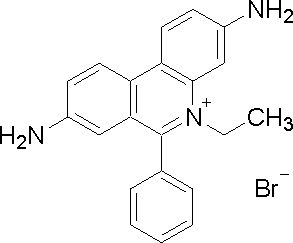 溴化乙锭(EB)，嵌入荧光染料试剂，用于DNA / RNA染色 - 阿拉丁