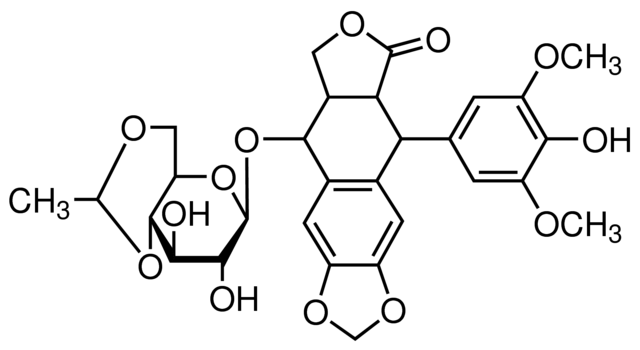 Etoposide，拓扑异构酶II抑制剂 - 阿拉丁