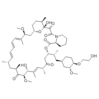 Everolimus，强大的mTOR抑制剂 - 阿拉丁
