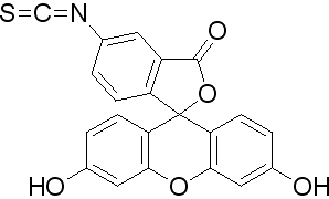 异硫氰酸荧光素(异构体I)，荧光标记胺反应性荧光素异构体 - 阿拉丁