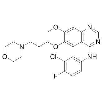 Gefitinib (ZD1839)，口服活性强效选择性EGFR酪氨酸激酶抑制剂 - 阿拉丁