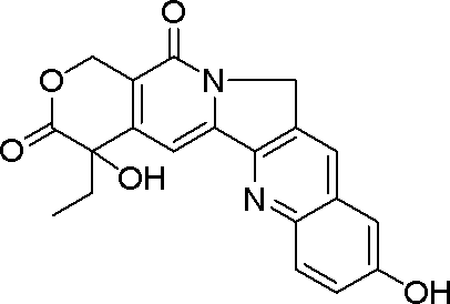 (S)-10-羟基喜树碱，DNA拓扑异构酶I抑制剂 - 阿拉丁