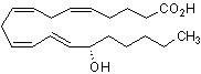 15（S）-HETE，花生四烯酸的代谢产物 - 阿拉丁
