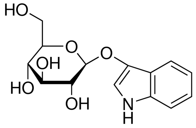 尿蓝母，发色β-D-葡萄糖苷酶底物 - 阿拉丁