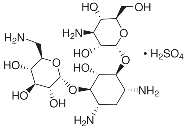 硫酸卡那霉素，氨基糖苷类抗生素 - 阿拉丁