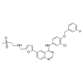 Lapatinib，细胞可渗透的有效EGFR和HER2酪氨酸激酶抑制剂 - 阿拉丁