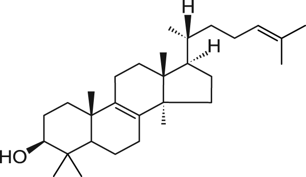 羊毛甾醇，类固醇生物前体CYP51A1组件 - 阿拉丁