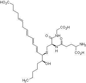 14,15-白三烯C4（毒素 C4），强效促炎介质 - 阿拉丁