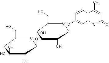 4-甲基伞形酮基β-D-乳糖苷，Beta乳糖苷酶荧光底物 - 阿拉丁