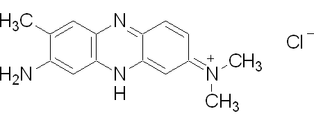 中性红，组织学染色 - 阿拉丁