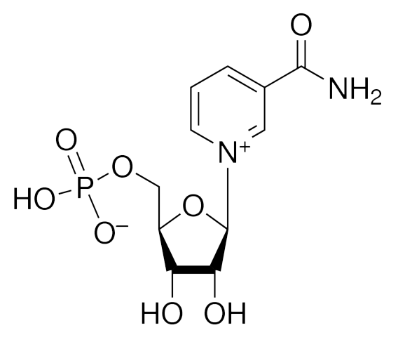 烟酰胺核苷酸 (NMN)，NAD +关键中间体 - 阿拉丁
