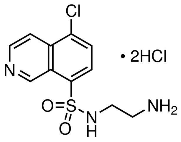 CKI-7 HCl，酪蛋白激酶1抑制剂CKI-7的水溶性类似物 - 阿拉丁