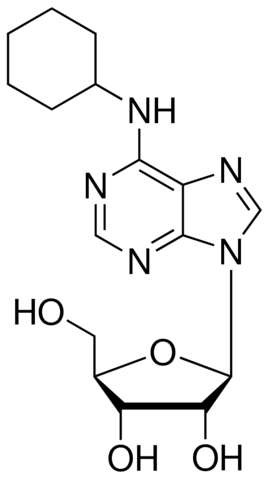 N 6 -环己基腺苷，选择性A 1受体激动剂 - 阿拉丁