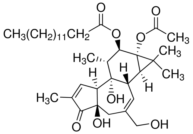 佛波醇12-十四酸酯13-乙酸酯，PKC激活剂 - 阿拉丁