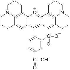 5-ROX [5-羧基-X-罗丹明]，荧光寡核苷酸标记 - 阿拉丁