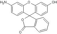 Rhodol，高荧光染料，可用于标记寡核苷酸，抗体和蛋白质研究 - 阿拉丁