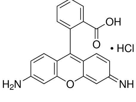 氯化罗丹明110，绿色荧光素标准品\ xa0广泛使用\ xa0作为酶分析系统中的基础染料 - 阿拉丁