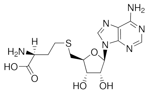 S-(5’-腺苷)-L-高半胱氨酸，氨基酸衍生物，是代谢途径中的重要中间体 - 阿拉丁