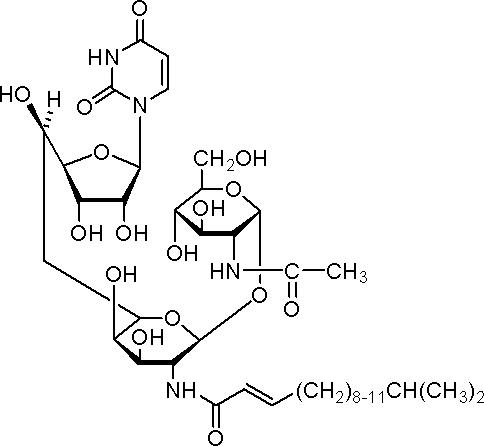 衣霉素，抗生素蛋白质糖基化抑制剂 - 阿拉丁