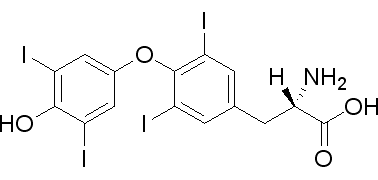 左旋甲状腺素，合成T4甲状腺激素 - 阿拉丁