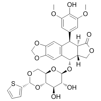 Teniposide，拓扑异构酶II抑制剂 - 阿拉丁