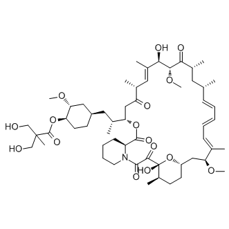Temsirolimus (CCI-779, NSC 683864)，选择性mTORC1复合抑制剂（IC 50 = 1.76 µM） - 阿拉丁