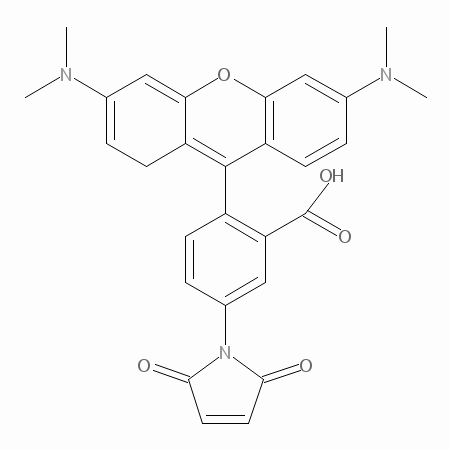 四甲基罗丹明-5-马来酰亚胺，蛋白硫醇的标记试剂，用于细胞荧光检测 - 阿拉丁