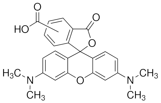 5(6)-羧基四甲基罗丹明，用于在5'-或3'末端或内部标记\ xa1寡核苷酸的荧光染料 - 阿拉丁