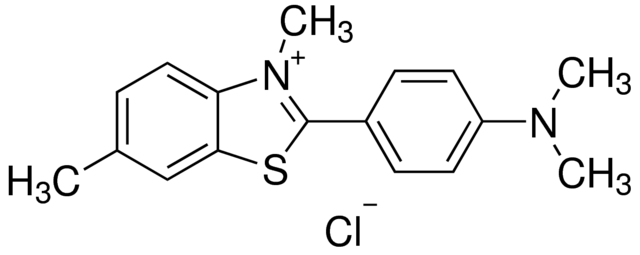硫黄素T，荧光细胞渗透性淀粉样蛋白结合苯并噻唑盐 - 阿拉丁