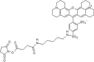 Texas Red®-XX-SE，用于产生鲜红色荧光生物共轭物 - 阿拉丁