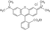 四甲基罗丹明乙酯，带正电荷的亲脂性荧光团，带红橙色荧光 - 阿拉丁