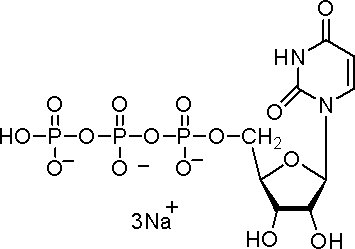 5’-三磷酸尿苷三钠(UTP)，P2Y受体激动剂 - 阿拉丁