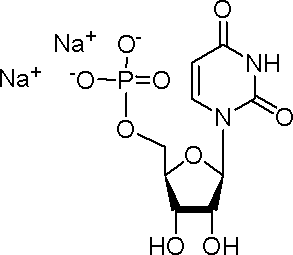 5ˊ-尿苷酸二钠(UMP)，核苷酸是核糖核酸的主要成分 - 阿拉丁