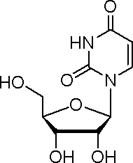尿嘧啶核苷 - 阿拉丁