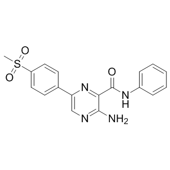 VE-821，高效，选择性ATP竞争性ATR抑制剂 - 阿拉丁