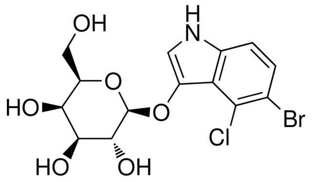 Y5-溴-4-氯-3-吲哚基-β-D-吡喃半乳糖苷，细胞可渗透的显色β-半乳糖苷酶底物 - 阿拉丁