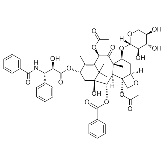 7-木糖基紫杉醇，抗肿瘤剂 - 阿拉丁